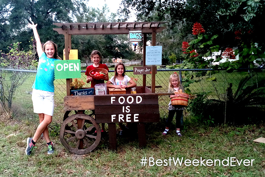 #FoodIsFree Cart Brooksville FL