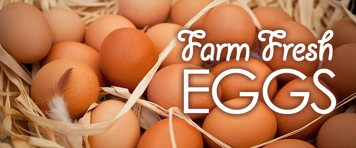 farm fresh brown eggs