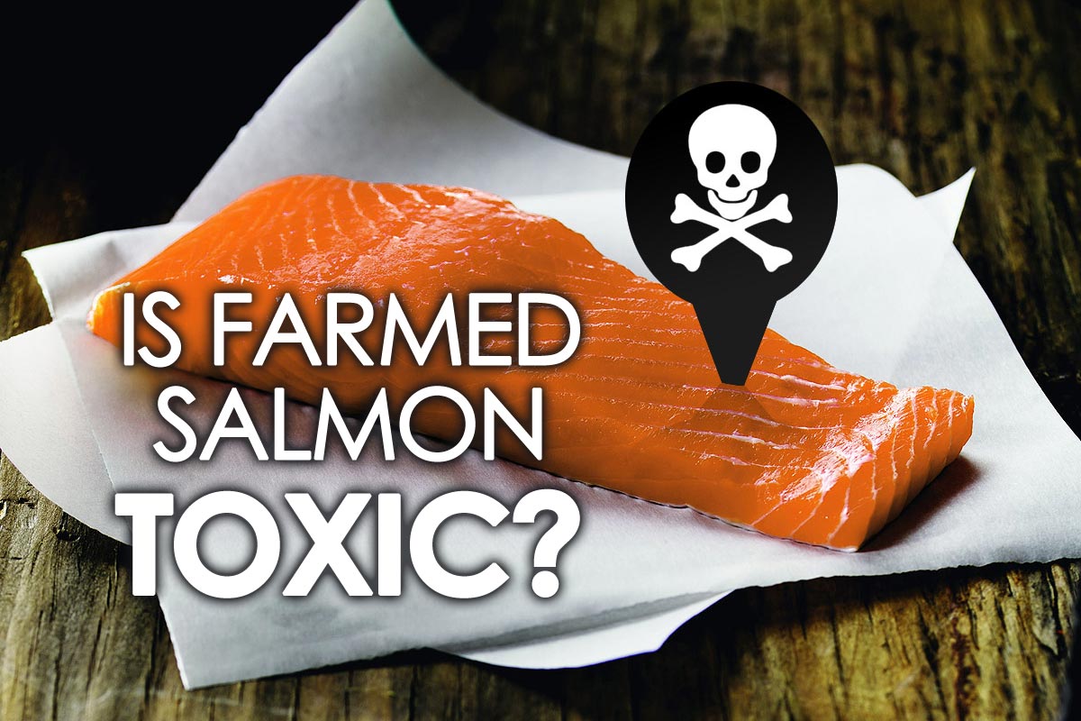 Is Farmed Salmon Toxic?